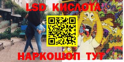 дживик Тара