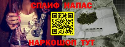 дживик Тара