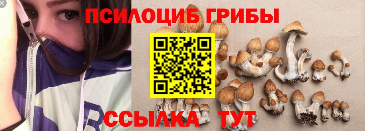 Галлюциногенные грибы GOLDEN TEACHER  Псилоцибиновые грибы Cubensis  как найти наркотики  Мурманск  Вход с VPN 